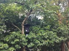 -风云岭森林公园
