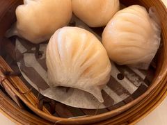 -美心皇宫(屯门大会堂店)