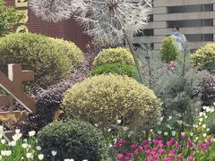 -中海环宇荟