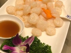 -席家花园(巨鹿花园店)