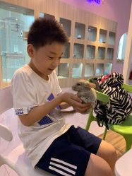 -Moni星球萌宠·小马宝莉·灵蛇·高端高阶全萌宠互动体验俱乐部(红豆国际广场店)