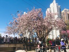 -元大都城垣遗址公园