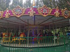 -长白岛森林公园