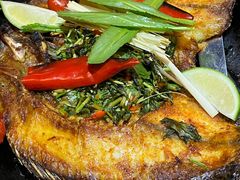 -云海肴·汽锅鸡·云南菜(天津国金汇店)