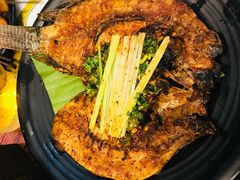 -紫滇源云南生态菜(丹凤街店)