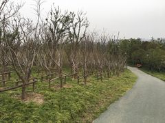 -蜀冈西峰生态公园