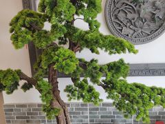 -呼吸森林·生态农庄农家乐私房菜