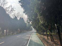 -洪泽湖古堰景区