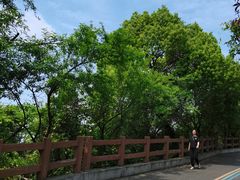 -杭州半山国家森林公园