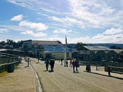 -疏芬山金矿