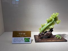 -大连自然博物馆