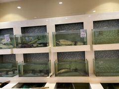 -陶然饺子城(奥体中路店)