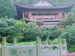-十八棵（老龙井）御茶园(老龙井店)
