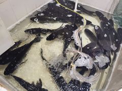 -魏铭鱼头捞饭(晋阳路店)