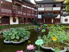 -豫园湖心亭茶楼