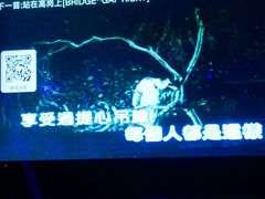 -纯K(哈西店)