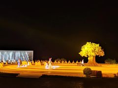 -鼎盛王朝康熙大典实景演出