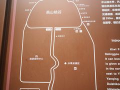 -大岭沟猕猴桃谷风景区