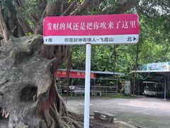 -飞霞风景名胜区