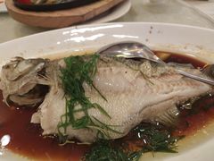 -阿栋·绝版湛江鸡体验馆