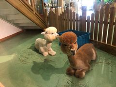 -藦茜花园宠物主题亲子互动体验馆(国顺东路店)