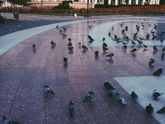 -加泰罗尼亚广场