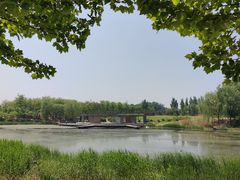 -马家湾湿地公园