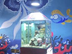 -太平洋海底世界