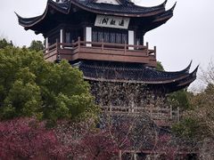 -范蠡湖公园