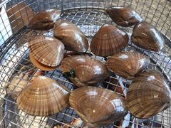 -海味当家·蒸锅海鲜(星海公园店)