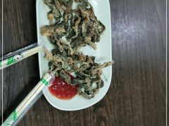 -针姨
