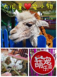 -萌宠亲子动物乐园(槐房万达店)