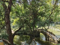 -绮园景区
