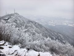 -紫金山山顶公园