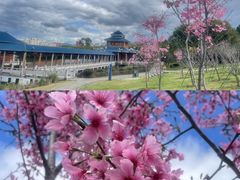 -福州大学(旗山校区)