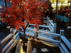 -三凤酒家·百年无锡菜(清扬茂业店)