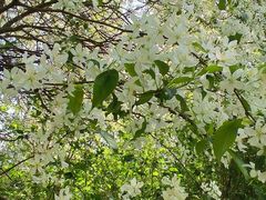 -长春公园(普阳街道)