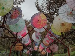 -云河谷