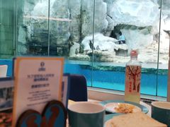 -帝企鹅自助餐厅•儿童岛•真企鹅(长隆企鹅酒店)