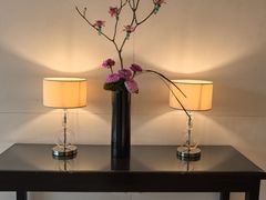 -丽思卡尔顿酒店泳池(金融街店)