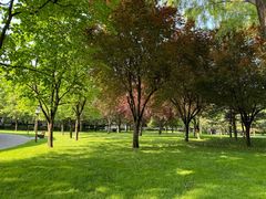 -唐城墙遗址公园