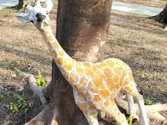 -佛冈森波拉度假区