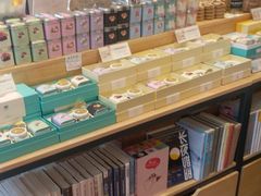 -猫的天空之城概念书店(束河店)
