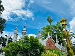 -西双版纳傣族园