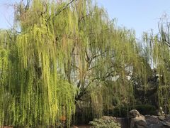 -西安青龙寺遗址景区