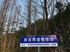-同里国家湿地公园