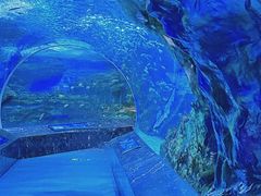 -海合安成都极地海洋公园