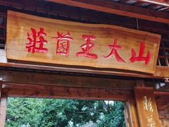 -山大王菌莊