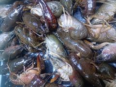 -聚盛源蒸汽海鲜火锅烤肉自助(巨川金海岸购物广场店)