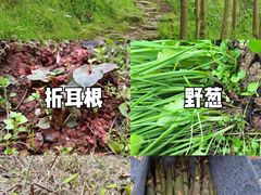 -龙窝子